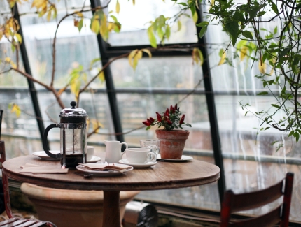 Về quán xá HCM